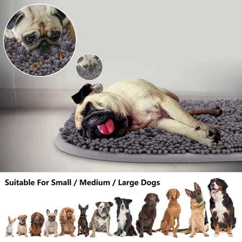 A Pug sleeping on a large grey snuffle mat alongside a lineup of small, medium, and large dog breeds