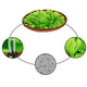 Product detail diagram showing green fleece snuffle mat with close-ups of the drawstring, non-slip backing, and treat hiding strands.