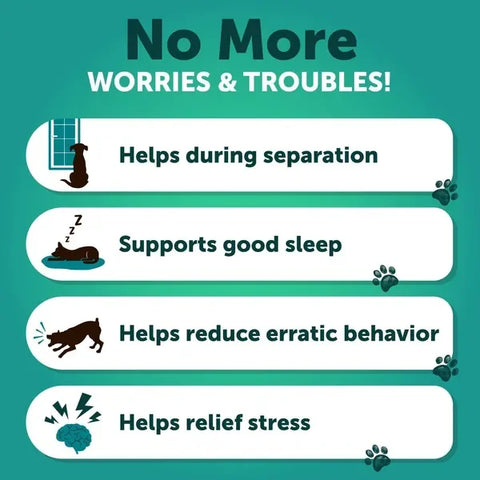 Chart showing the benefits of dog calming treats: helps during separation, supports good sleep, reduces erratic behavior, and helps relieve stress.