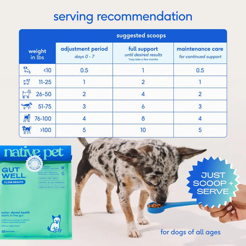 Suggested scoop serving recommendation chart by dog weight for Native Pet GutWell Clean Breath dental pellets.