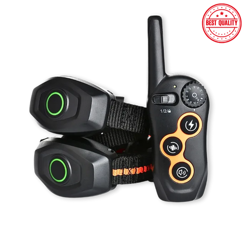 Dog training device with remote and collars on white background, labeled 'Best Quality'