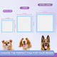 Size comparison chart for dog training pads detailing Regular (22x23), Large (28x34), and Extra Large (36x36) dimensions with different dog breeds.