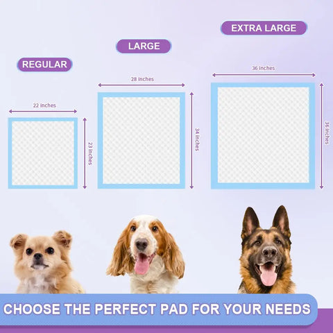 Size comparison chart for dog training pads detailing Regular (22x23), Large (28x34), and Extra Large (36x36) dimensions with different dog breeds.