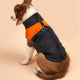 Dog wearing a black and orange puffer vest on beige background.