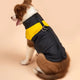 Dog wearing a black and yellow puffer vest on beige background.