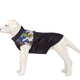 Dog wearing a black jacket with a camouflage pattern on a white background