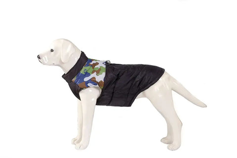 Dog wearing a black jacket with a camouflage pattern on a white background