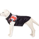 Dog wearing a black jacket with a camouflage pattern.