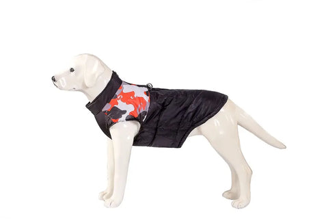 Dog wearing a black jacket with a camouflage pattern.