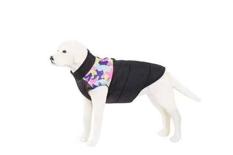 Dog wearing a black jacket with a colorful pattern on a white background