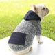 Dog wearing a gray and navy sweater with a hood on grassy background.