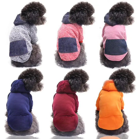 Dog wearing a hooded jacket in various colors on a white background