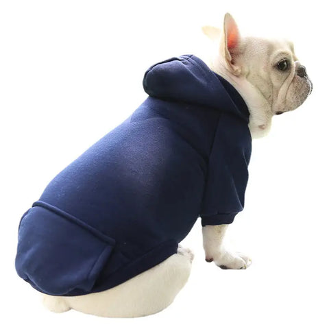Dog wearing a navy blue hoodie on white background.