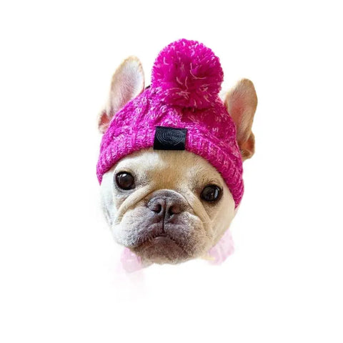 Dog wearing a pink knitted hat with pom-pom on white background.