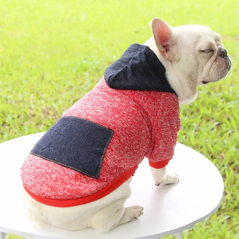 Dog wearing a red and black sweater on grassy background.