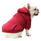 Dog wearing a red hoodie on white background.