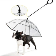 Dog wearing a transparent pet umbrella with PawVortex branding.