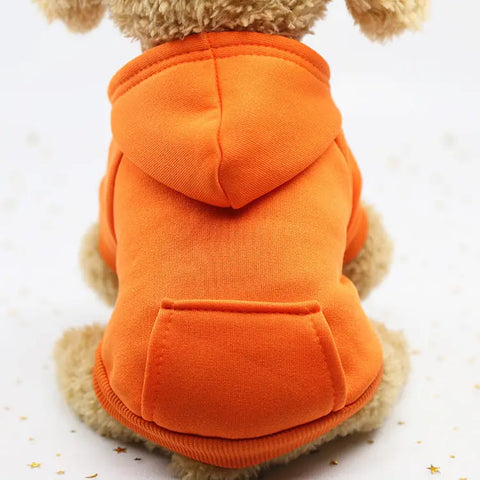 Dog wearing an orange hoodie on a light background.