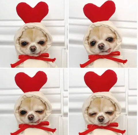 Dog wearing costume with red heart-shaped ears and bow tie.