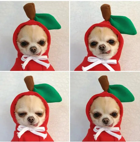Dog wearing cozy critter hoodie with comfortable fit and animal design.