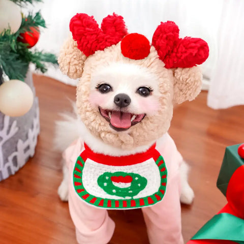 Dog wearing festive outfit with red heart-shaped ears and bib.