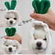 Dog wearing green bunny hat with a hand holding it on white.