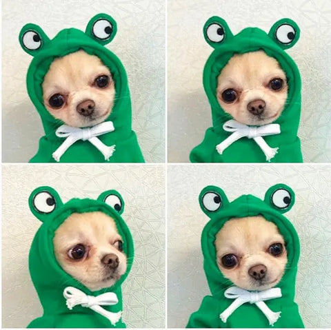 Dog wearing green frog costume with large eyes and white bow tie.