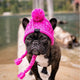 Dog wearing pink knitted hat holding pink rope toy on dock.