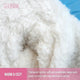 Dog wearing reflective winter coat showing waterproof exterior.