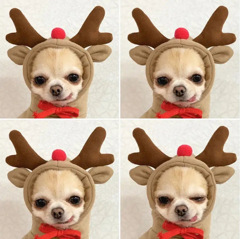 Dog wearing reindeer costume with antlers and red bow tie.