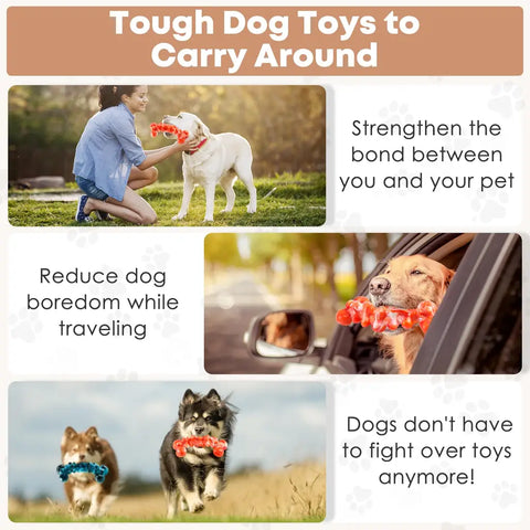 Multiple dogs carrying tough nylon toys outdoors to demonstrate durability and portability.