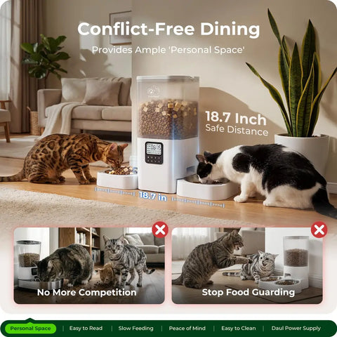 Two cats eating from a dual-bowl automatic feeder with an 18.7-inch distance to prevent food competition and stress.