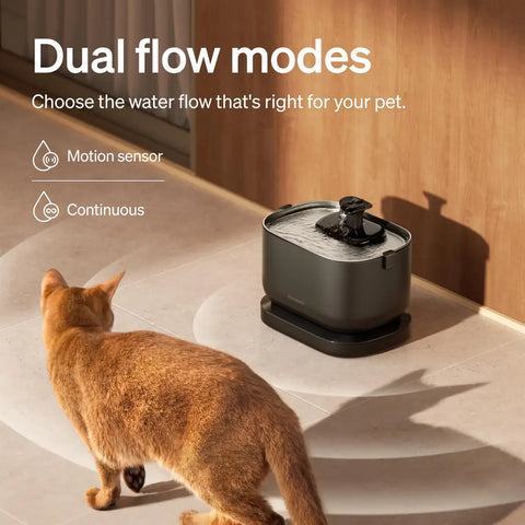 Abyssinian cat approaching a motion-activated smart pet water fountain with dual flow modes