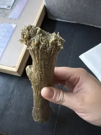 Close-up of a wood-blend dog toy showing the safe, non-splintering frayed texture after being chewed.