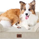 Beige EHEYCIGA orthopedic memory foam bolster dog bed with resting Shetland Sheepdog