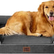 Dark grey EHEYCIGA orthopedic bolster memory foam dog bed with resting Golden Retriever
