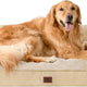 Graige neutral tone EHEYCIGA orthopedic memory foam dog bed with resting Golden Retriever