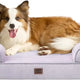 Lilac purple EHEYCIGA orthopedic foam dog bed with resting Shetland Sheepdog
