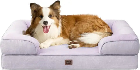 Lilac purple EHEYCIGA orthopedic foam dog bed with resting Shetland Sheepdog
