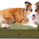 Olive green EHEYCIGA orthopedic memory foam dog bed with resting Shetland Sheepdog