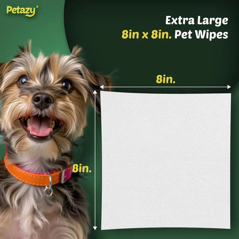 Extra large 8in x 8in Petazy dog grooming wipe shown next to a small puppy for size comparison.
