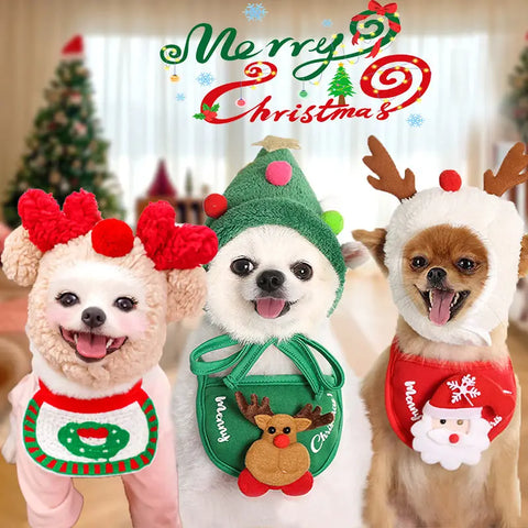Festive Christmas pet set with tree hat and reindeer accessories.