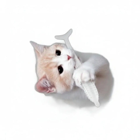 Fish-shaped silicone cat toothbrush toy with textured surface for dental cleaning.