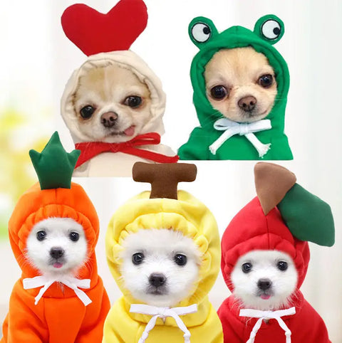 Five small dogs wearing colorful animal-themed costumes on white.