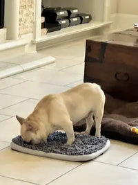 Fawn-colored French Bulldog sniffing out treats on a textured gray pet snuffle mat.