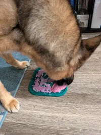 Customer photo of a German Shepherd dog licking pink spreadable treat mix off a teal Woof slow feeder mat.
