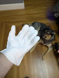 A customer wearing a white textured pet grooming glove wipe on their hand, with a German Shepherd mix dog lying down in the background.