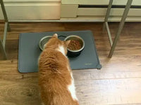 Overhead customer review shot of an orange and white tabby cat eating dry kibble from a double diner stainless steel bowl set on a grey silicone pet food mat.