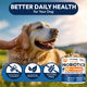 Golden Retriever dog outdoors with product badges highlighting gluten-free, no artificial flavoring, and no artificial preservatives for better daily pet health.