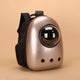 Gold pet backpack with a clear front on a beige background